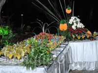 Catering y Buffet