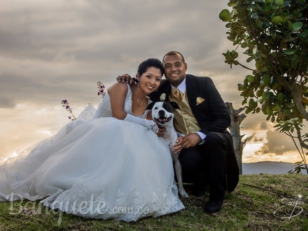 Fotografo de Matrimonios.jpeg