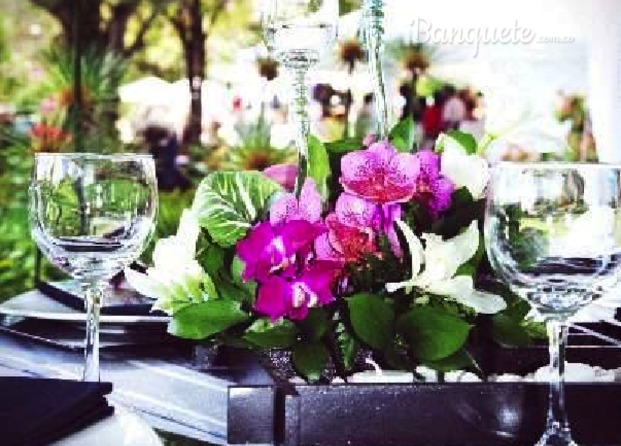 Todos los detalles para sus eventos y recepciones