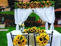 Matrimonio con girasoles