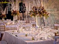 Eventos y recepciones