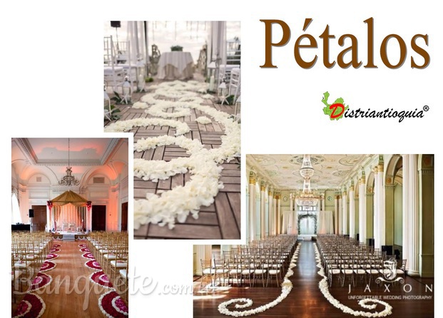 petalos para eventos