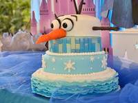 Torta Frozen