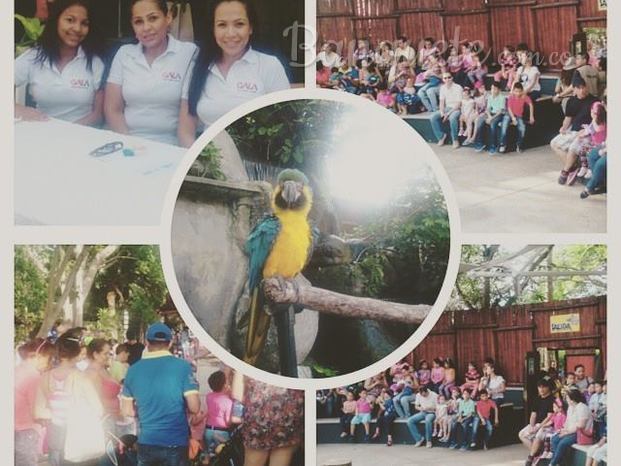 Una experiencia en el zoológico con las familias.